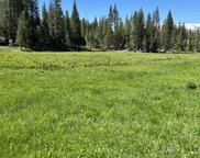 Meadow, North Fork image