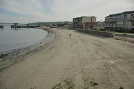 edmonds beach