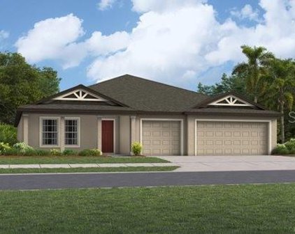 12113 Blue Diamond Trail, Parrish