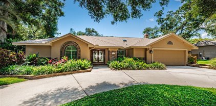 2716 Country Woods Lane, Palm Harbor