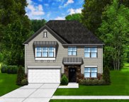 422 Saylor Hall Lane, Chapin image