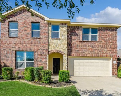 4116 Dragonfly  Court, Forney