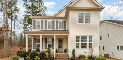 200 Ancient Oaks, Holly Springs