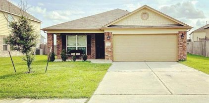 2923 Country Clearing Lane, Rosenberg