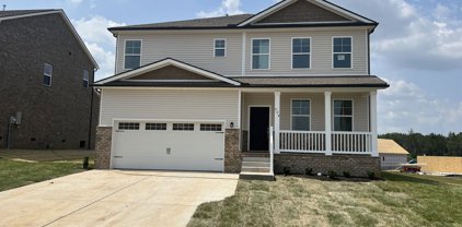 904 Peony Ct, Smyrna