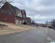 6367 Letson Farms Road, Bessemer image