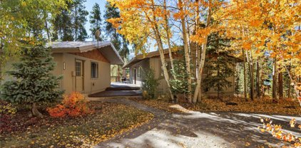 107 N Pine  Street, Breckenridge