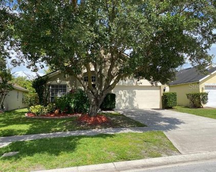 433 Tree Shore Drive, Orlando
