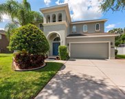 5306 Green Oasis Drive, Dover image