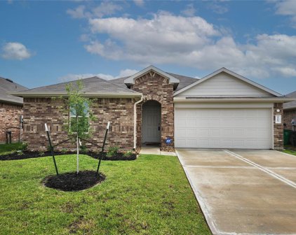 21607 Violet Ridge Road, Katy