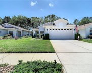 11656 New Haven Drive, Spring Hill image