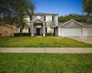 5116 Whispering Leaf Trail, Valrico image