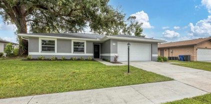 6768 Mauna Loa Boulevard, Sarasota
