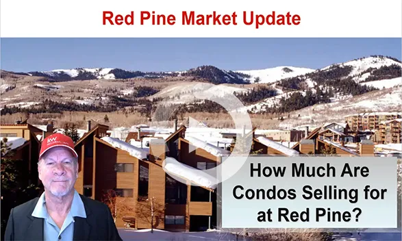 Red Pine Real Estate Market Update Webinar