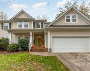 320 Brixham  Place, Fort Mill image