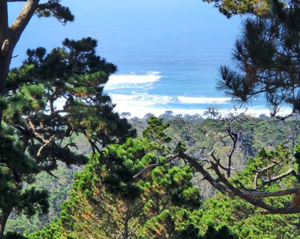 250 Forest Ridge 52, Monterey