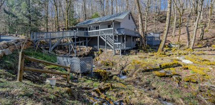 126 Staghorn Hollow Road, Beech Mountain