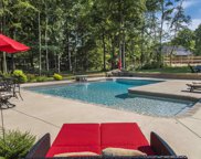 761 Amicks Ferry Road, Chapin image