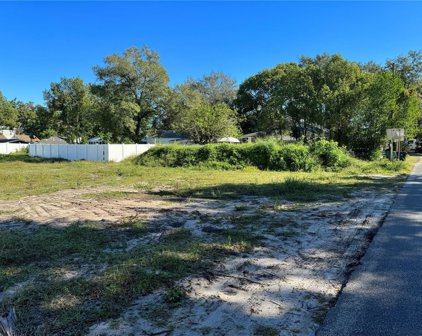 233 Page Street, Orlando