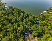 341 Loper Lake Drive, Livingston image