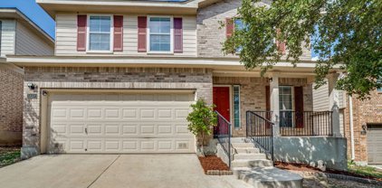 1439 Alaskan Wolf, San Antonio