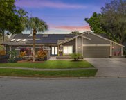 1321 Indian Trail N, Palm Harbor image