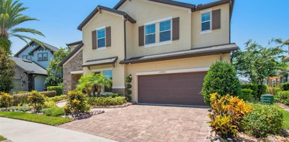 11883 Frost Aster Drive, Riverview