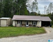 22735 County Road 49, Muscadine image
