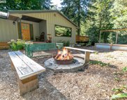 27515 E BELLE LAKE RD, Rhododendron image