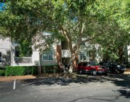 1600 Long Grove Unit ##1217, Mount Pleasant image