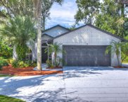 2801 Little Road, Valrico image