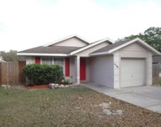 11741 Lynn Brook Circle, Seffner image
