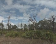 27374 Sandrala Drive, Punta Gorda image