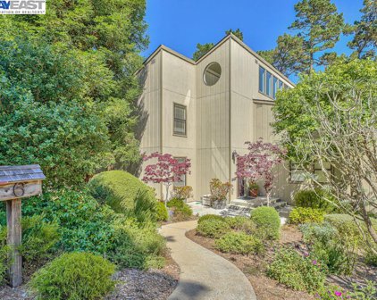 6 Wyndemere Vale, Monterey