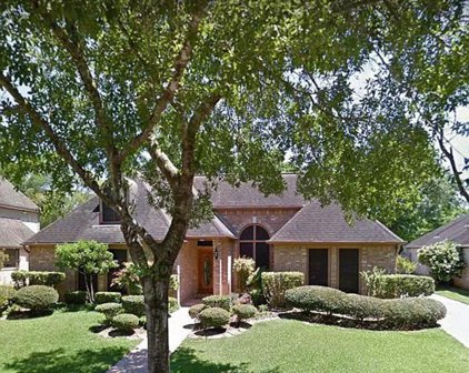 3407 Black Locust Drive, Sugar Land