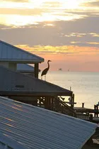 Dauphin Island