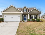 331 Pickney Ct., Conway image