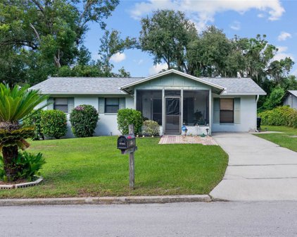 815 E Magnolia Street, Apopka