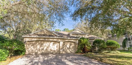 717 Gulf Land Drive, Apopka