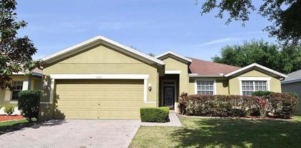 11413 Bridge Pine Drive, Riverview