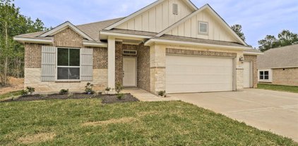 11611 Wilgers Way, Willis