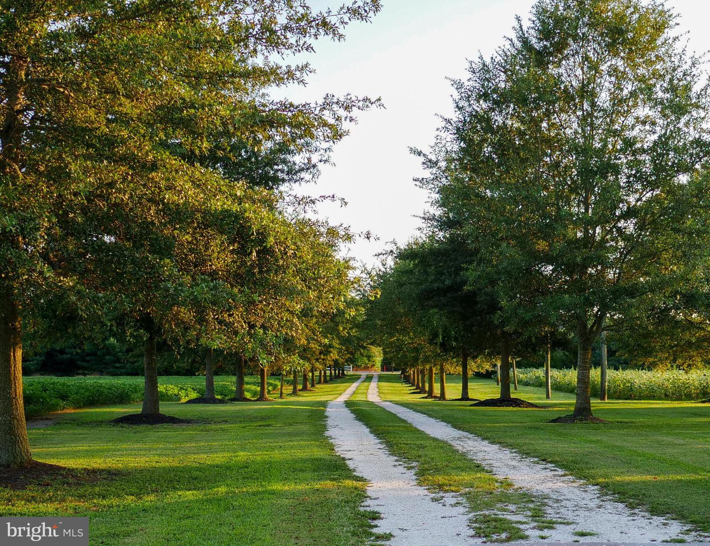 Public Landing Road, Snow Hill MD 21863