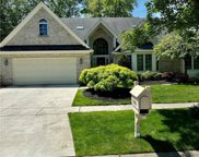 8505 Augusta, Holland image