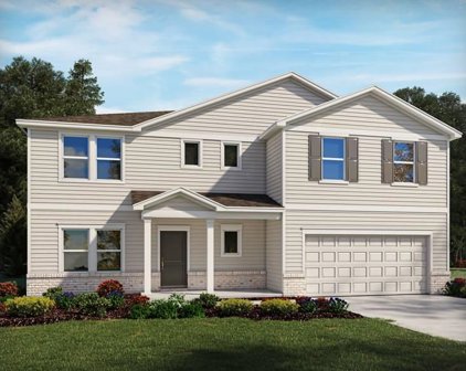 113 Roderick, Greenville