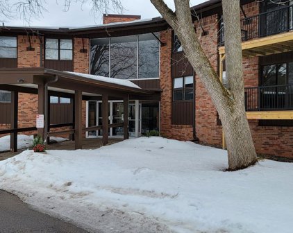 10113 W 34th Street Unit #343, Minnetonka