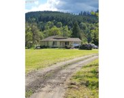 195 UMPQUA VALLEY LN, Drain image
