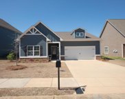 324 Union Station Drive, Calera image