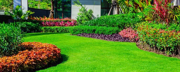 Powder Forest Homes Lawn Care