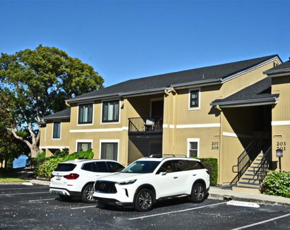 207 W Lake Faith Drive Unit 226, Maitland