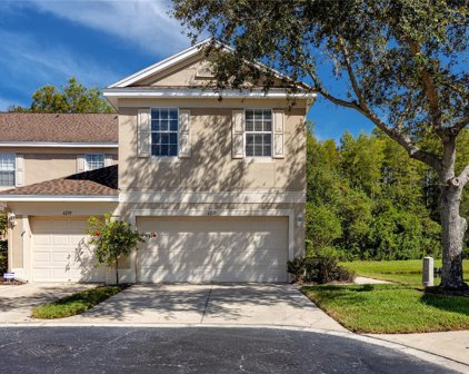 6237 Duck Key Court, Tampa